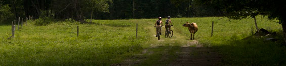 _MG_4703_montgomery